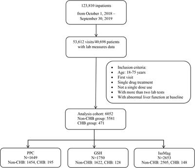 A Multicenter Real-World Study Evaluating the Hepatoprotective Effect of Polyene Phosphatidylcholine Against Chronic Hepatitis B